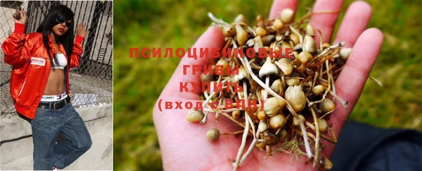 каннабис Белокуриха
