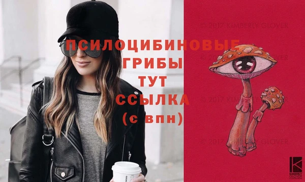 стафф Беломорск