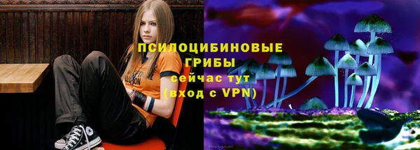 каннабис Белокуриха