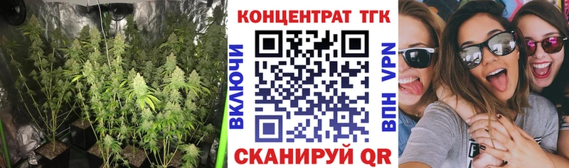 ТГК концентрат  сколько стоит  Шлиссельбург 