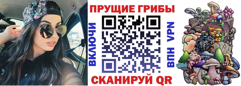 Псилоцибиновые грибы мицелий  Шлиссельбург 