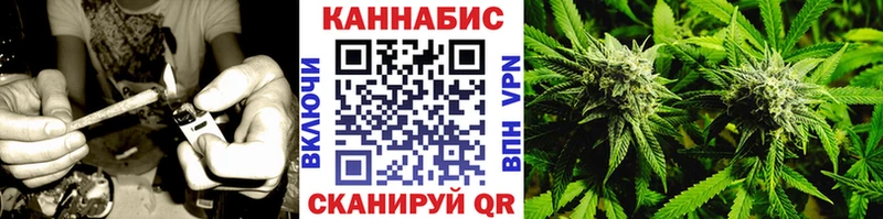 Бошки марихуана сатива Шлиссельбург